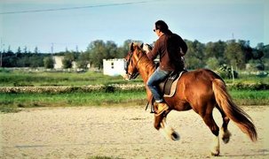 Horseback Riding Kuwait | Horseback Riding - Rated 1