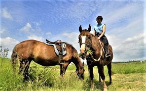 Horseback riding - horseback riding in Ukraine, Lviv Oblast | Horseback Riding - Rated 1