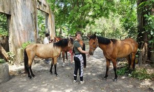 Horseshoe Tours in Colombia, Magdalena | Horseback Riding - Rated 1