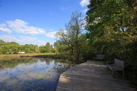 Houston Arboretum & Nature Center in USA, Texas | Parks - Rated 3.7