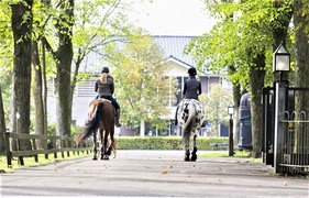 Human & Horse Academy | Horseback Riding - Rated 1