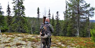 Nimeton metsaautotie in Finland, Southern Savonia | Hunting - Rated 0.7