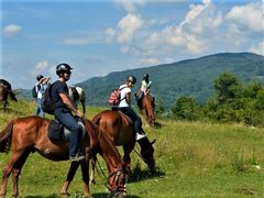 Husar Slanic Riding Centre in Romania, South Romania | Horseback Riding - Rated 1.2