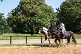 Hyde Park Stables - Horse Riding Central London in United Kingdom, Greater London | Horseback Riding - Rated 0.8