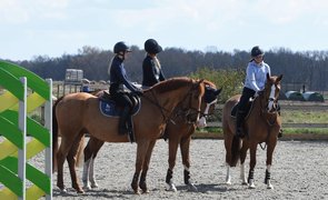 Bassingfield Riding School in United Kingdom, East Midlands | Horseback Riding - Rated 0.9