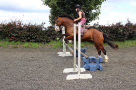Brookhouse Farm Riding School in United Kingdom, West Midlands | Horseback Riding - Rated 1