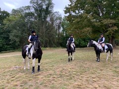 High Beech Riding School in United Kingdom, East of England | Horseback Riding - Rated 1