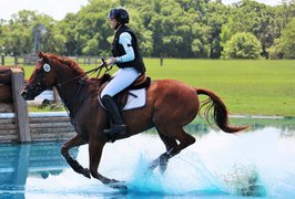 Equestrian School Avangard | Horseback Riding - Rated 4.2