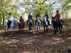 Bentley Riding School | Horseback Riding - Rated 1
