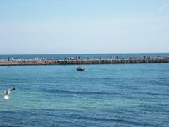 Third Buna in Bulgaria, Varna | Beaches - Rated 3.5