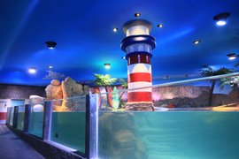 Inbursa | Aquariums & Oceanariums - Rated 7.7