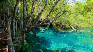 Indigenous Eyes Ecological Reserve | Caves & Underground Places,Nature Reserves,Swimming - Rated 3.9