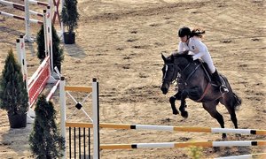 International K-9 & Horse Club in Turkey, Marmara | Horseback Riding - Rated 4.3