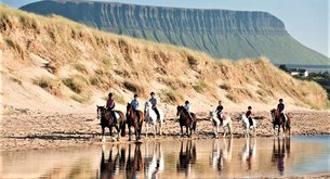 Island View Riding Stables in Ireland, Connacht | Horseback Riding - Rated 1.2