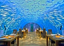 Ithaa in Maldives, Gaafu Dhaalu Atoll | Restaurants - Rated 3.7
