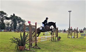 Jacksonville Equestrian Center in Uruguay, Montevideo Department | Horseback Riding - Rated 1