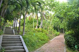 San Andres Botanical Garden in Colombia, San Andres y Providencia | Botanical Gardens - Rated 3.8