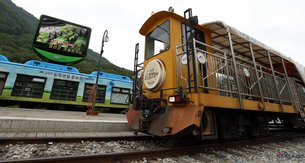 Jeongseon Railbike | Scenic Trains - Rated 4