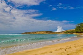 Jobos Beach in Puerto Rico, Capital Region | Surfing,Beaches - Rated 4.1