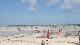 Jomo Kenyatta Public Beach | Beaches - Rated 3.3