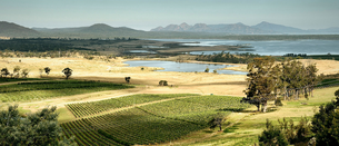 Josef Chromy Wines in Australia, Tasmania  - Rated 4