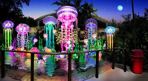Jungle Island in USA, Florida | Amusement Parks & Rides - Rated 3.3