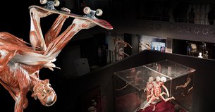 The First Museum of Body Worlds in Germany, Berlin | Museums - Rated 3.7