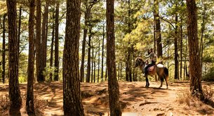 Kabadjo Handlers Association | Horseback Riding - Rated 1