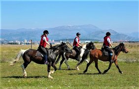 Kadina Equestrian Sports Club in Montenegro, Central Montenegro | Horseback Riding - Rated 0.9