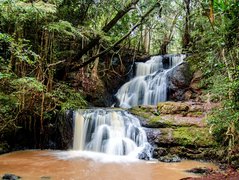 Karura Forest | Trekking & Hiking - Rated 3.8