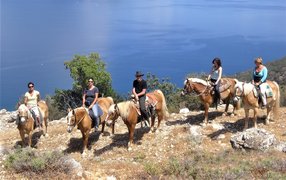 Kefalonia Horse Riding Stable in Greece, Ionian Islands | Horseback Riding - Rated 1