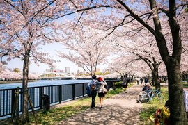 Kema Sakuranomiya Park in Japan, Kansai | Parks - Rated 3.2