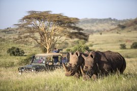 Wild Frontiers Uganda Safaris | Safari - Rated 0.8