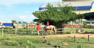 Khmer Equestrian Center in Cambodia, Mekong Lowlands and Central Plains | Horseback Riding - Rated 0.7