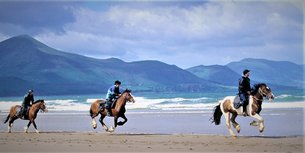 Killarney Riding Stables in Ireland, Munster | Horseback Riding - Rated 4.3