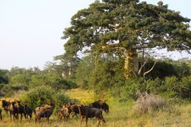 Kisama National Park