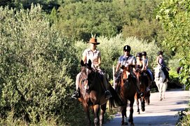 Kojan Koral in Croatia, Dubrovnik-Neretva | Horseback Riding - Rated 1.1