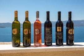 Winery Terra Madre in Croatia, Split-Dalmatia | Wineries - Rated 0.9