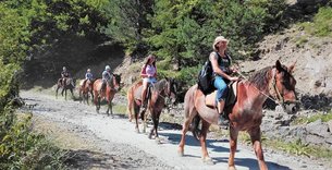 Konna Baza Sivek in Bulgaria, Plovdiv | Horseback Riding - Rated 1.2