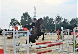 Konno Sportivnyy Klub Ok Mustang in Uzbekistan, Tashkent Region | Horseback Riding - Rated 1