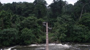 Korup National Park in Cameroon, Southwest | Parks - Rated 0.7