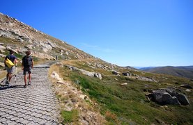 Kosciuszko Walk | Trekking & Hiking - Rated 0.8