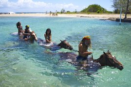 Krabi Nature Horse Riding in Thailand, Southern Thailand | Horseback Riding - Rated 0.8