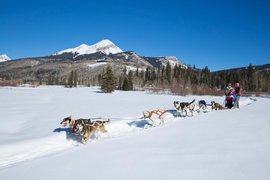 Krabloonik Dogsled Rides in USA, Colorado | Sledding - Rated 0.7