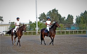 Kuwait Riders Academy | Horseback Riding - Rated 1