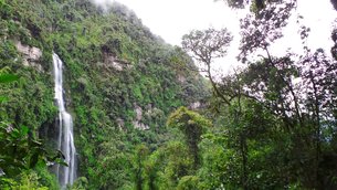La Chorrera Waterfall in Colombia, Capital District of Colombia | Waterfalls - Rated 3.9