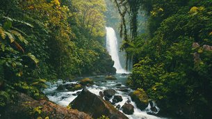 La Paz Waterfall Gardens Nature Park in Costa Rica, Heredia Province | Waterfalls,Parks,Gardens - Rated 4.2