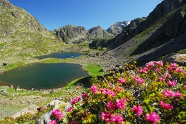 Lacs Robert in France, Auvergne-Rhone-Alpes | Lakes - Rated 0.9