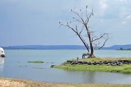 Lake Chivero Recreational Park in Zimbabwe, Mashonaland West Province | Parks,Lakes - Rated 3.2