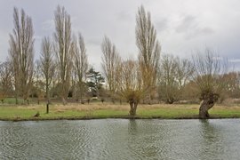 Lammas Land in United Kingdom, East of England | Parks - Rated 3.6